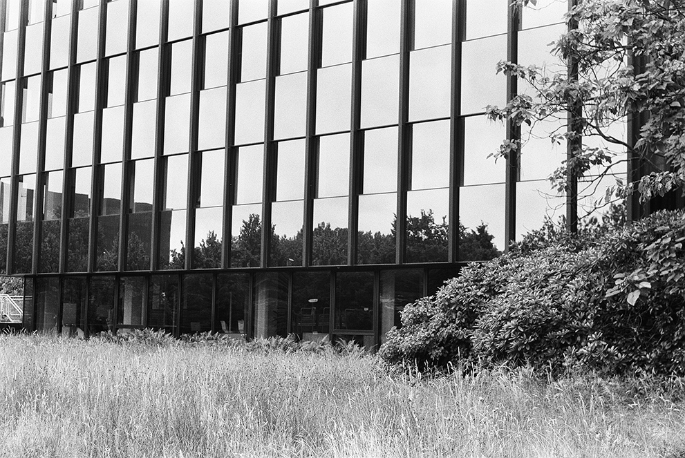 A modern office building with a crops field in front of it. Shot on Fomapan 100 classic.