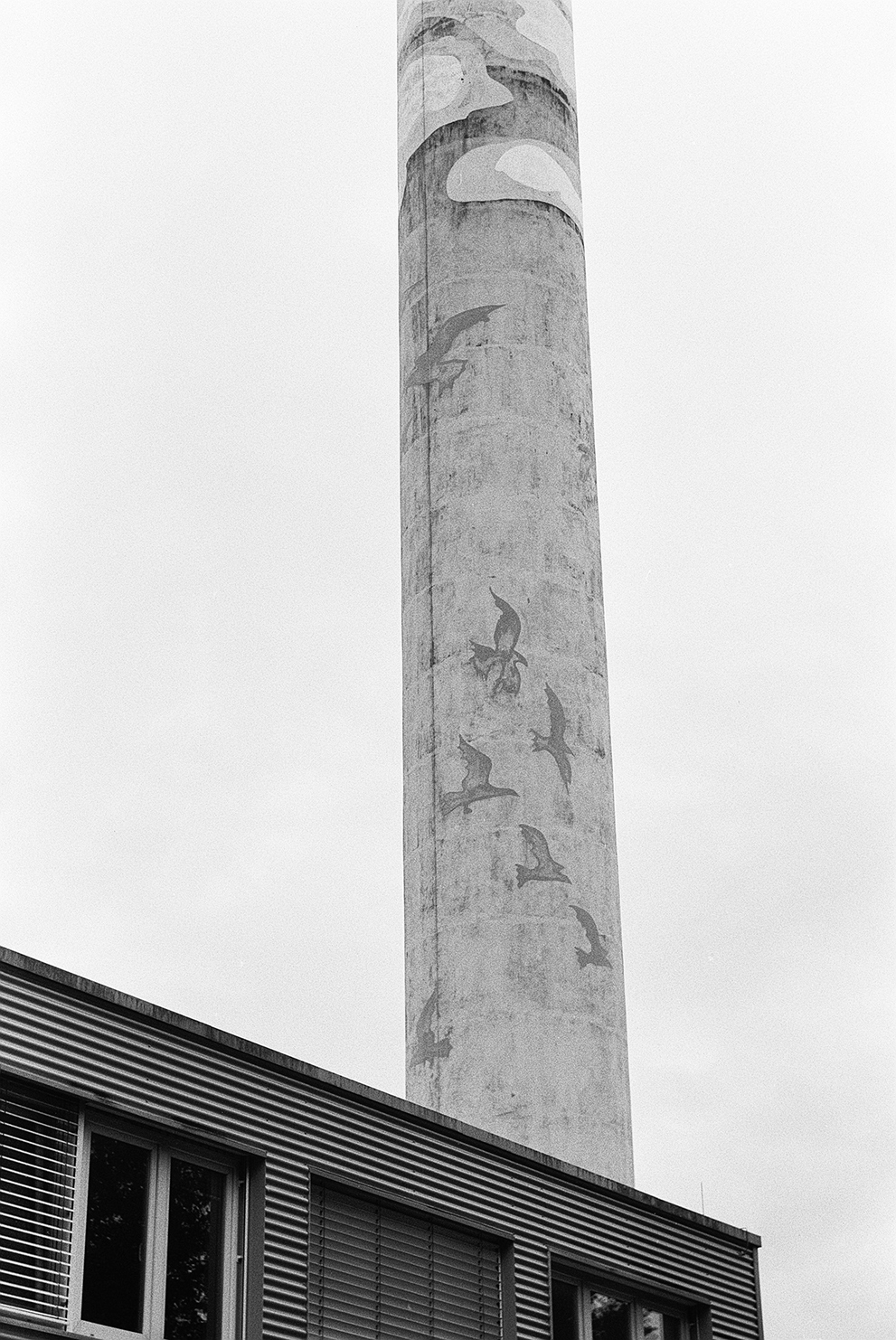 A chimney, painted with clouds and birds, pertruding from a tin shack. Shot on Fomapan 100 classic.