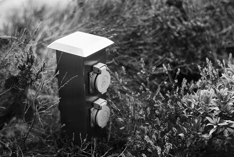 An electric outlet amoung plants in a garden. Shot on Fomapan 200 creative.