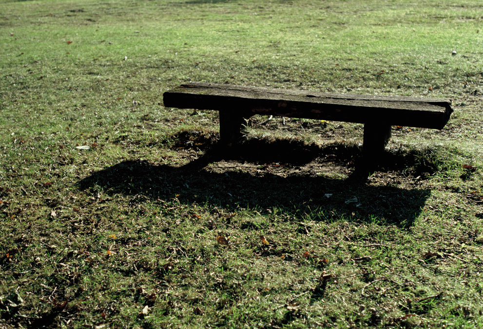 A wooden, weather-beaten bench a sunny grass patch. Shot on Kodak Ektachrome E100