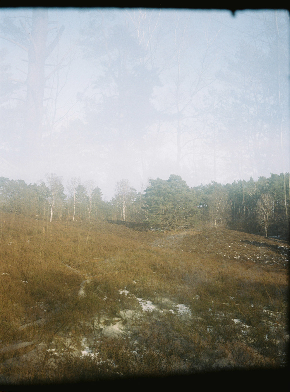 Winter forest scene double exposure. Shot on Kodak Portra 400.