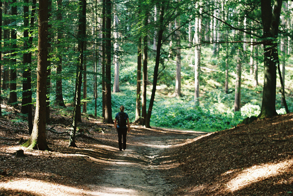 A young man walking in the forest. Shot on Kodak Ultramax 400.