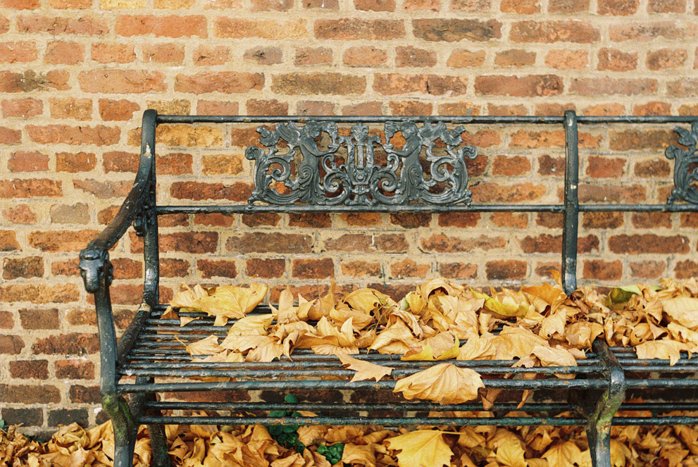 On iron park bench with autumn leaves. Shot on Kodak Ultramax 400 pulled to 100.