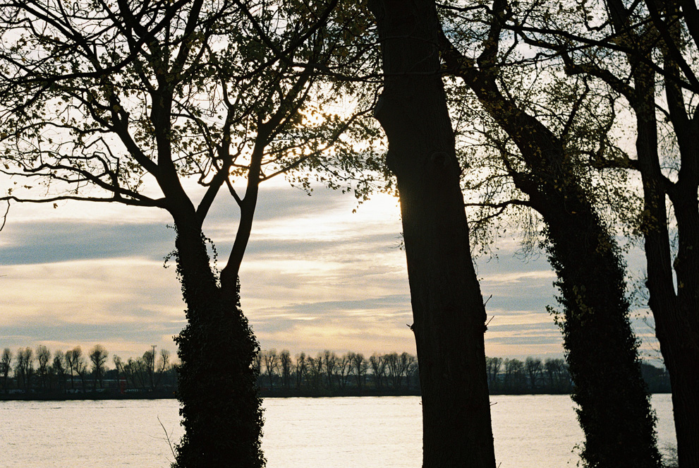 A late winter sky with contrasting trees over the river Elbe. Shot on Kodak Ultramax 400 pulled to 100.